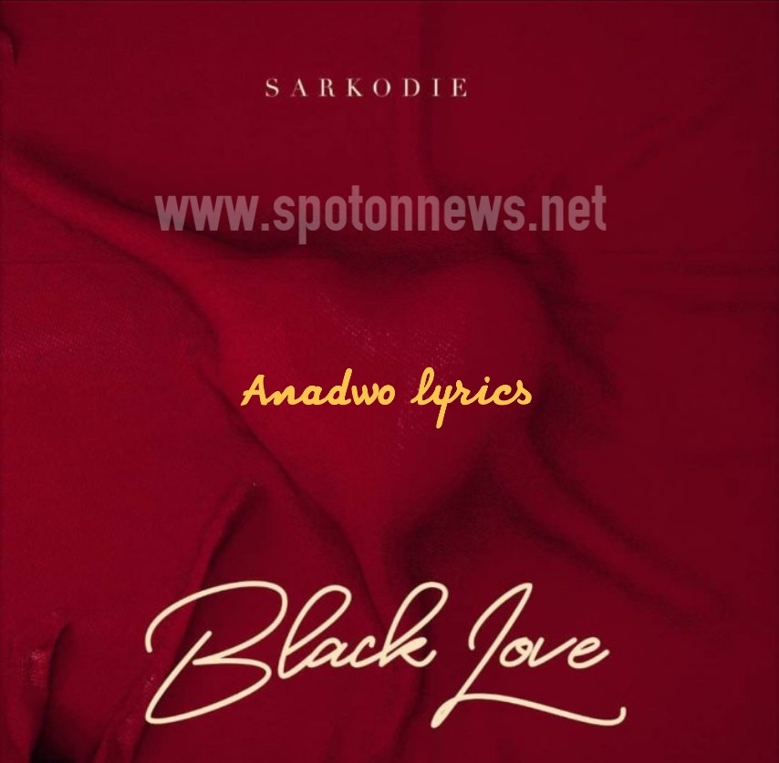 Lyrics of Anadwo by Sarkodie ft King Promise