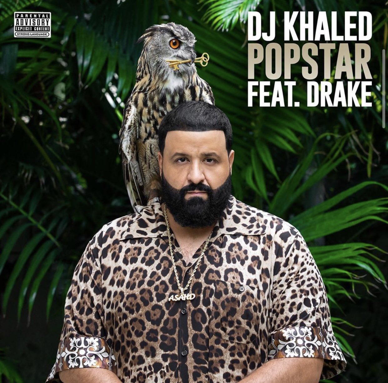 Download 'Popstar' by DJ Khaled ft Drake