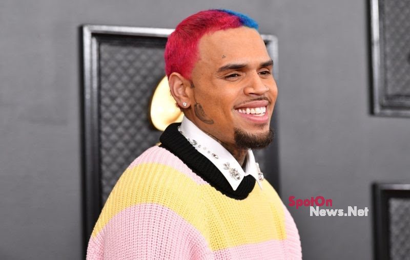 Chris Brown busted for assaulting a woman