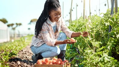 Agriculture