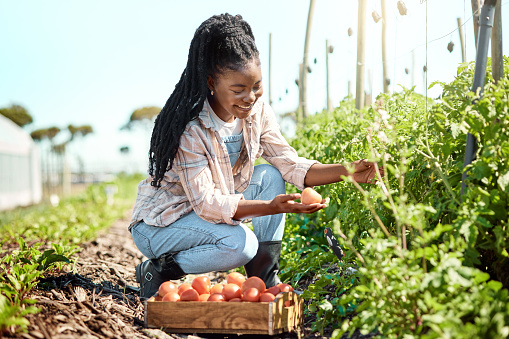 Agriculture
